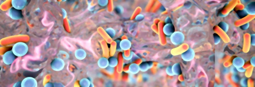 Antibiotic Resistant Bacteria in Biofilm